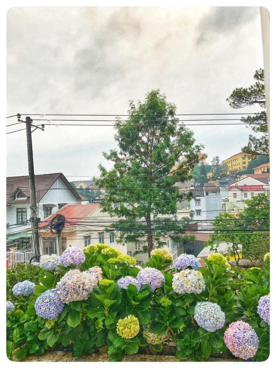 Biet Thu Trang Da Latヴィラ エクステリア 写真